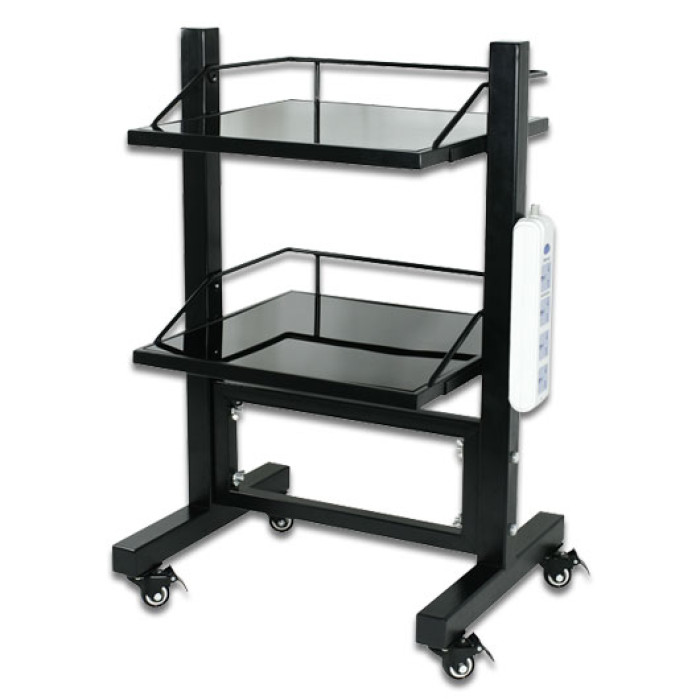 Salon Tattoo Aluminum Trolley Instrument Tray with Mat and Tool Caddy  eBay