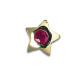 Tooth Jewellery Gold Ruby Star