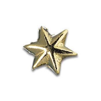 Tooth Jewellery Gold 3-D Star