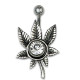 Silver Shield Cannabis