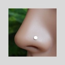 Nostril Disc 2.5mm (Steel)