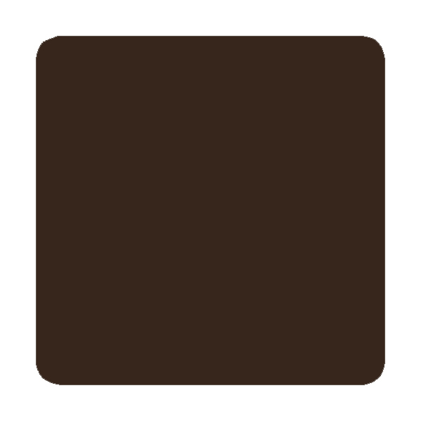Timeless PMU Colors | Espresso 10ml AMO