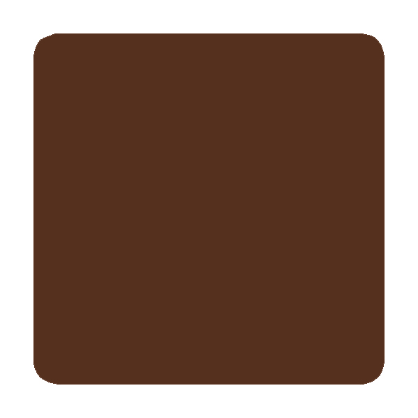 Timeless PMU Colors |  Ash Brown 10ml Elegance