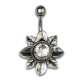 [SPD36] Silver Shield Alpine Flower