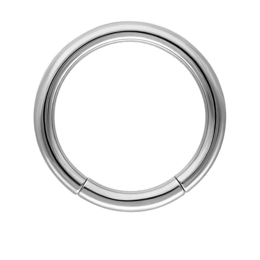 Segment Rings (Steel) (1,6 mm, 10 mm)