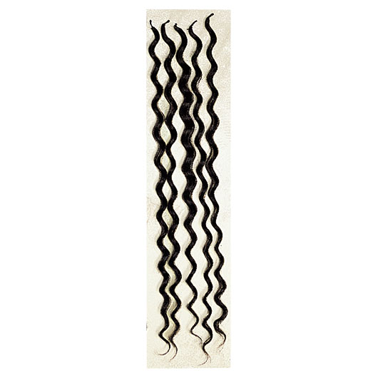 [H10/1B – 20pz-G] Curly Locks with Slot