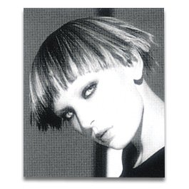 [VS341] The Biomorphic Video